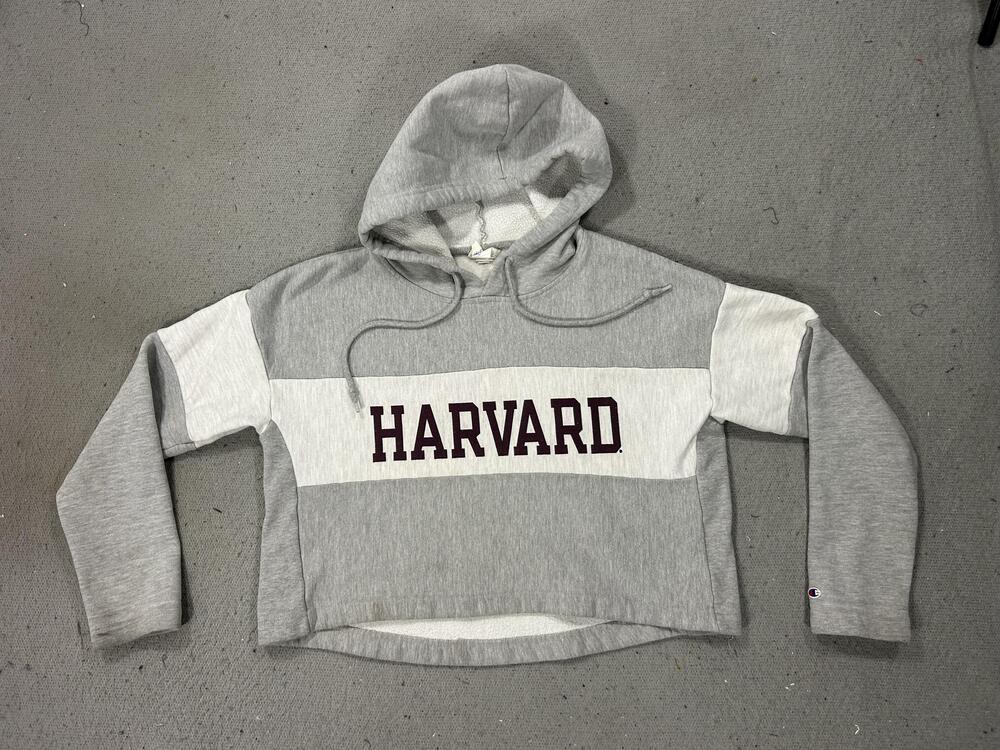 Champion Harvard Hoodie Womens Small Gray Cropped Reverse Weave University